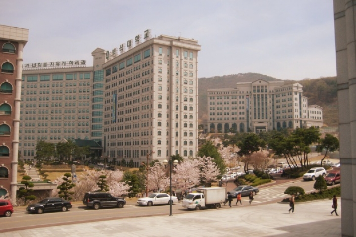 ĐẠI HỌC BAEKSEOK (백석대학교)