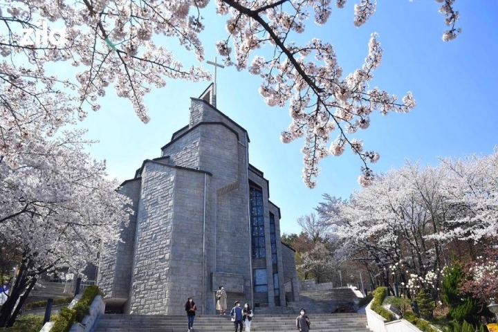 ĐẠI HỌC HANSHIN