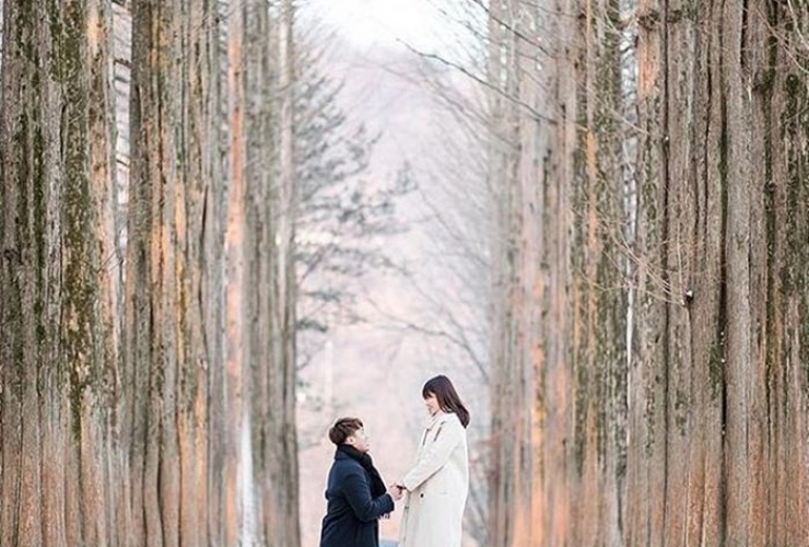 SEOUL - THÁP NAMSAN - ĐẢO NAMI - VƯỜN TRÁI CÂY - NATURE LAP