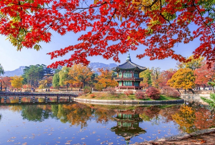 DU LỊCH HÀN QUỐC NÊN ĐI TOUR NÀO? 3 TOUR DU LỊCH KHÔNG THỂ BỎ LỠ TẠI HÀN QUỐC 
