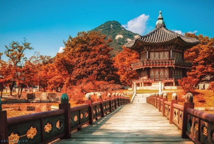 TIPS DU LỊCH HÀN QUỐC AN TOÀN