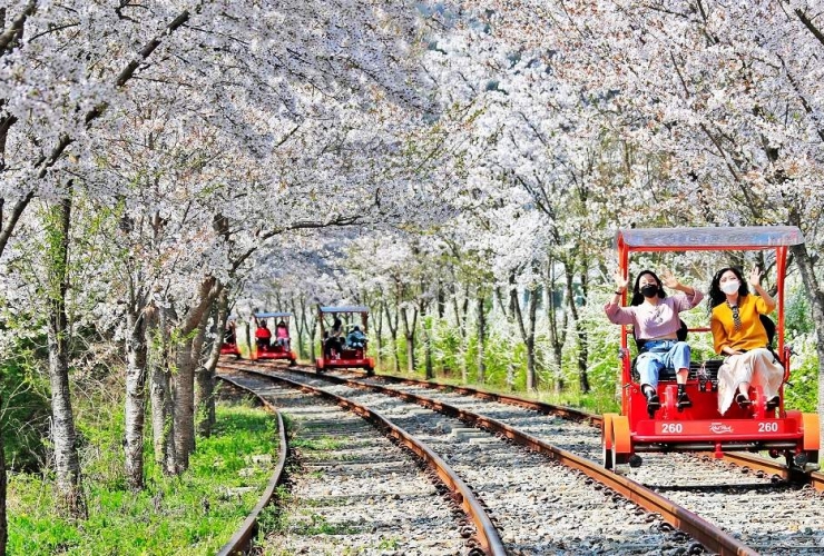 TOUR HÀN QUỐC MÙA THU - SEOUL - ĐẢO NAMI - GANGCHON RAIL PARK