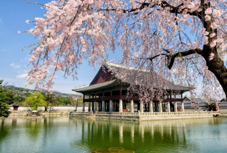 SEOUL - NAMI - EVERLAND 