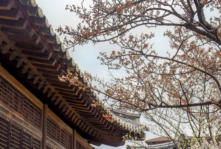 HANOK STAY - CÁCH THÚ VỊ NHẤT ĐỂ KHÁM PHÁ MỌI NGÓC NGÁCH TẠI HÀN QUỐC