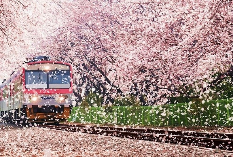 SEOUL | NAMI | EVERLAND | ONE MOUNT PARK (4N4Đ)