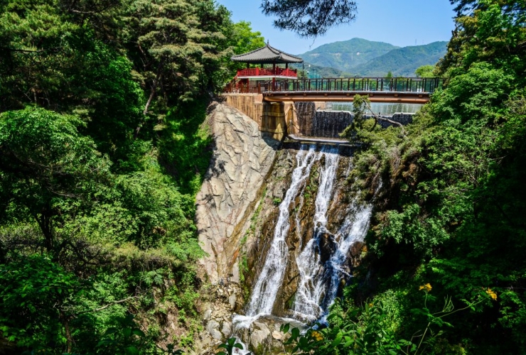 JECHEON - TOUR DU LỊCH CHỮA LÀNH CƠ THỂ  BẰNG THẢO DƯỢC TẠI JECHEON 